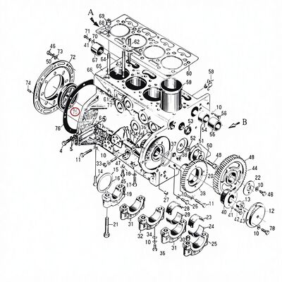 495AG Diesel Engine Spare Part Oil Seal PG100*130*12 CN 1kg